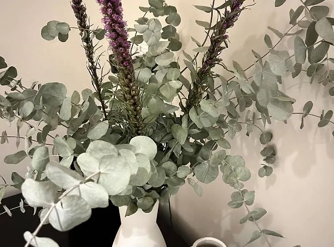 Lalola - Casa Privada Denia