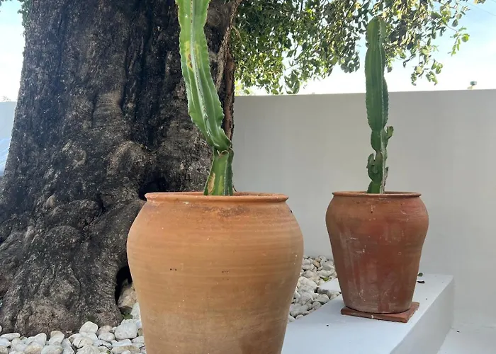 Lalola - Casa Privada *